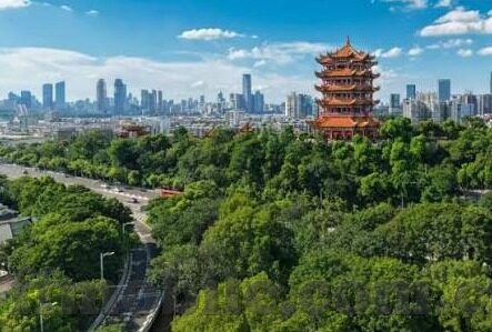 梦幻足球联盟修改比分-深度剖析，梦幻足球联盟修改比分背后的真相与行业警示