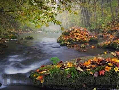 球探比分即时足球比分手机版我一-球探比分即时足球比分手机版，球迷的掌中宝与赛事指南针