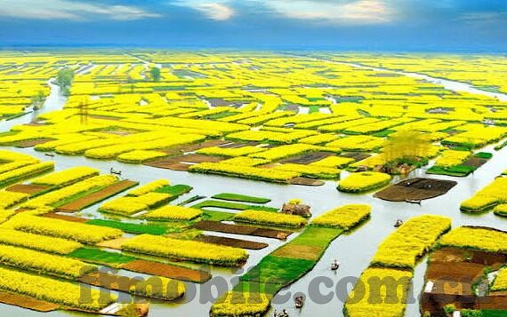 足球比分彩票奖金-足球比分彩票奖金，激情与理性交织的财富密码